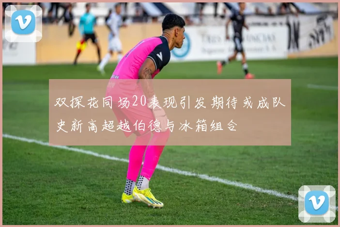双探花同场20表现引发期待或成队史新高超越伯德与冰箱组合